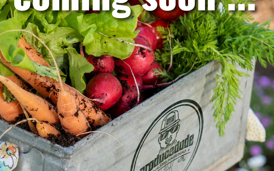 Need The Freshest Local Produce?  Call the producedude!