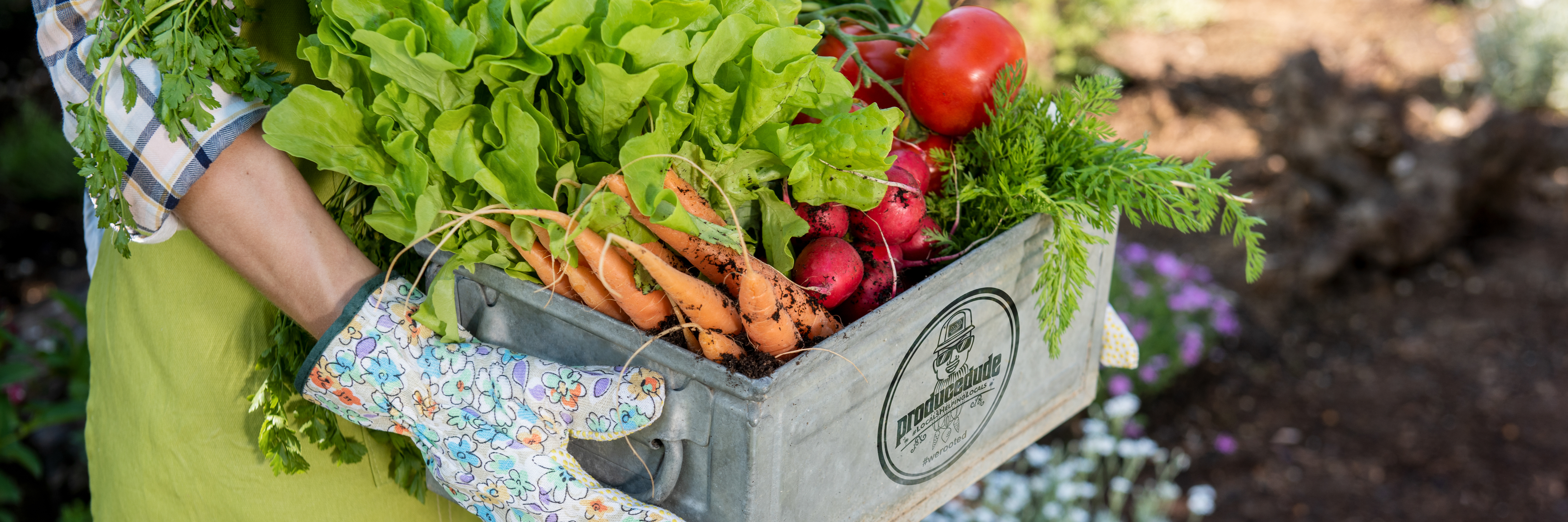 fresh produce harvested from horry & Georgetown counties