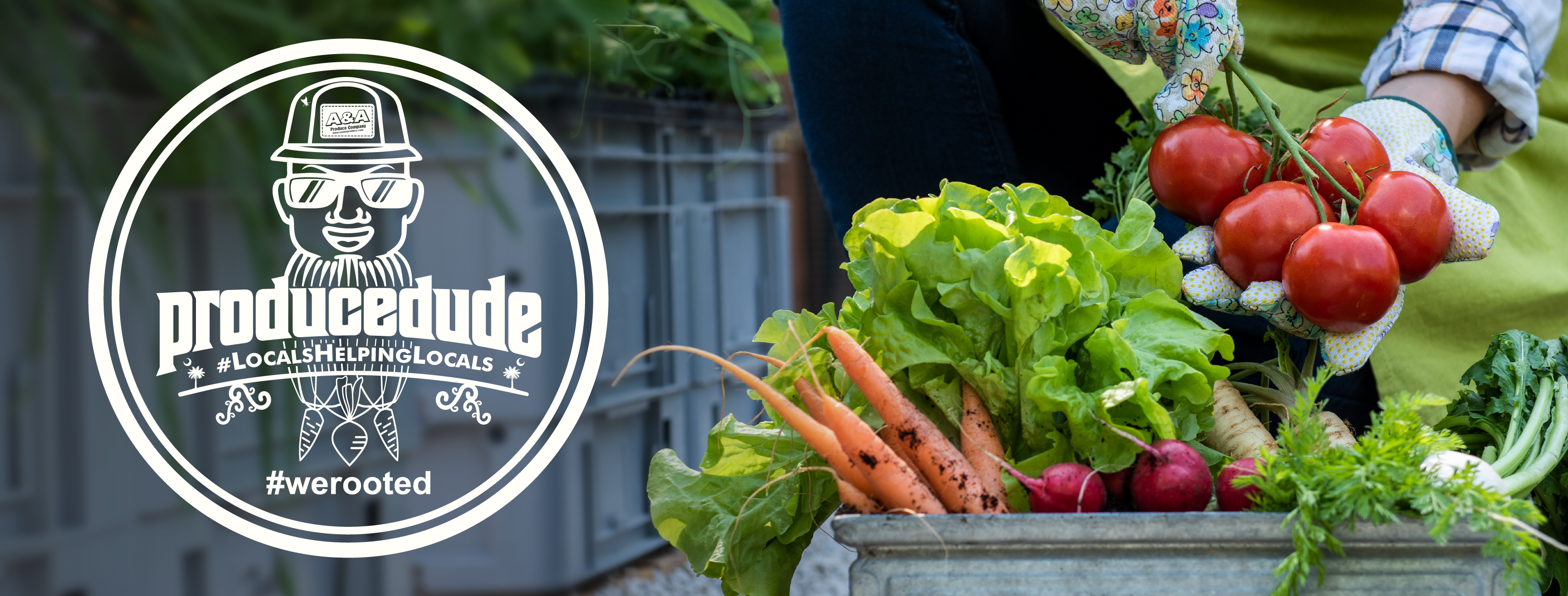 fresh produce harvested from horry & Georgetown counties